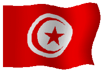 tunisie_drapeau.png