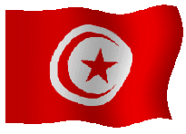 tunisie_drapeau.png tunisie_drapeau.png