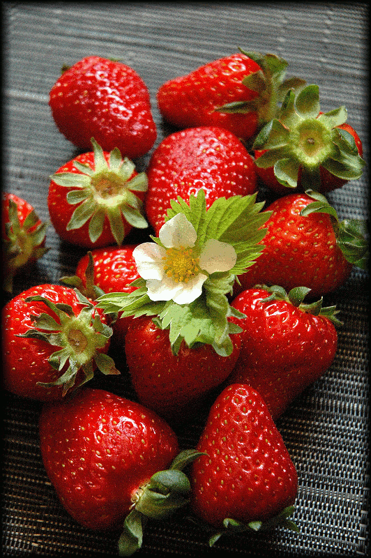 Fraises.gif