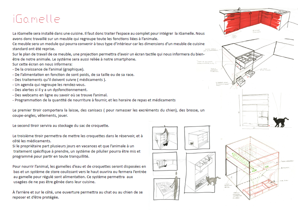 Exemple de fiche projet, ici "IGamelle"