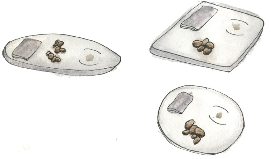 raw.githubusercontent.com_haykel88_freshvase_master_docs_pictures_freshvase_20_8_.jpg raw.githubusercontent.com_haykel88_freshvase_master_docs_pictures_freshvase_20_8_.jpg