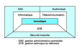 cours:schemaimmotique.gif