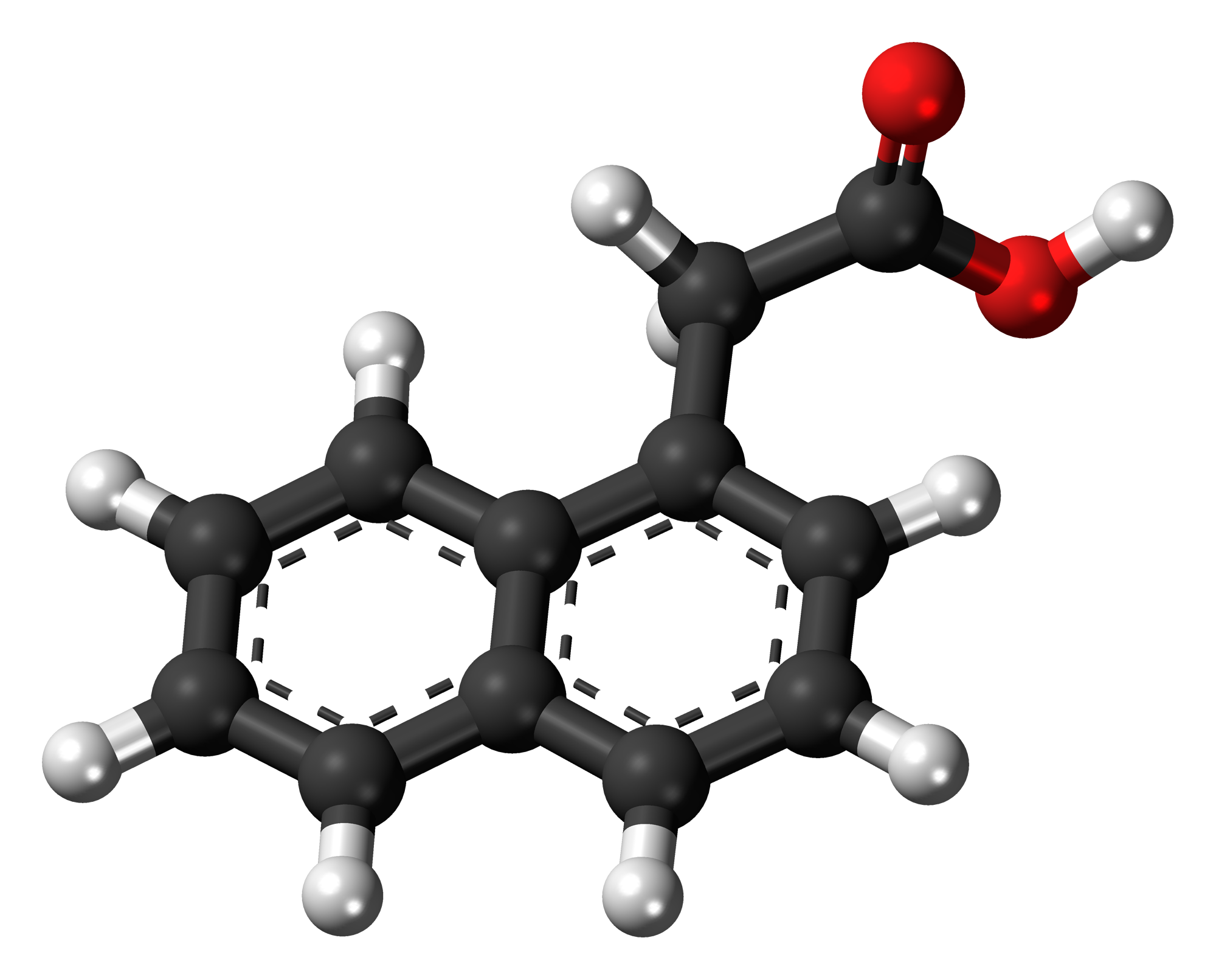 1-naphthaleneacetic-acid-3d-balls.png